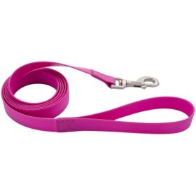 Coastal Pet Pro Waterproof Leash 3/4" x 6' Long Purple